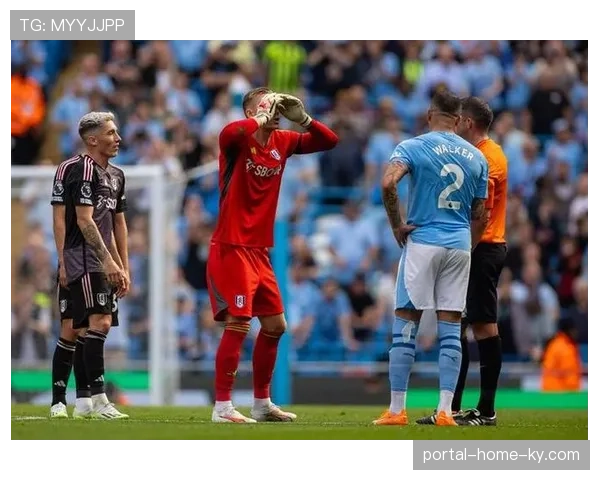 富勒姆约书亚金抓住门将失误扳平，把握机会能力关键